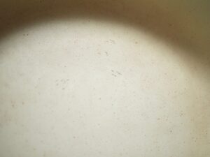 カローテ小さいフライパン変色